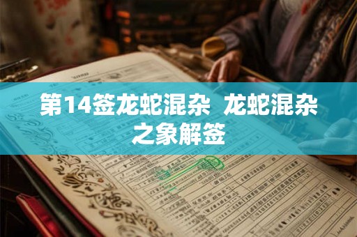 第14签龙蛇混杂  龙蛇混杂之象解签