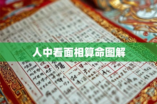 人中看面相算命图解