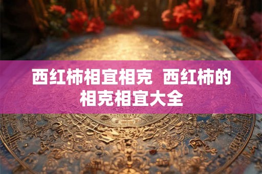 西红柿相宜相克  西红柿的相克相宜大全