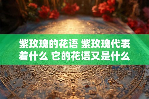 紫玫瑰的花语 紫玫瑰代表着什么 它的花语又是什么