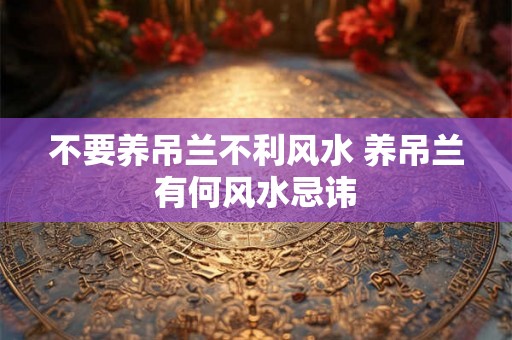不要养吊兰不利风水 养吊兰有何风水忌讳