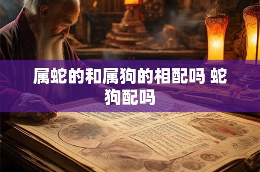 属蛇的和属狗的相配吗 蛇狗配吗