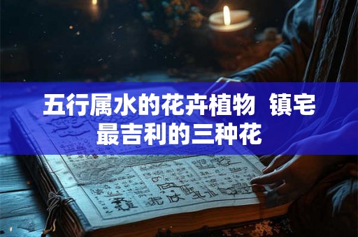 五行属水的花卉植物  镇宅最吉利的三种花