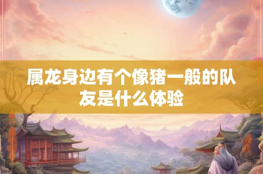 属龙身边有个像猪一般的队友是什么体验