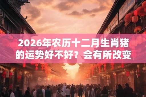 2026年农历十二月生肖猪的运势好不好？会有所改变吗？