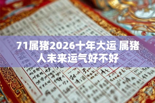 71属猪2026十年大运 属猪人未来运气好不好