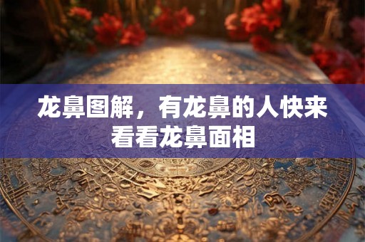龙鼻图解，有龙鼻的人快来看看龙鼻面相