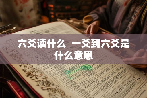 六爻读什么  一爻到六爻是什么意思