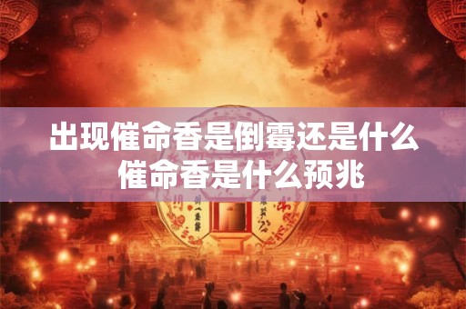出现催命香是倒霉还是什么  催命香是什么预兆