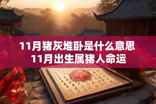 11月猪灰堆卧是什么意思 11月出生属猪人命运
