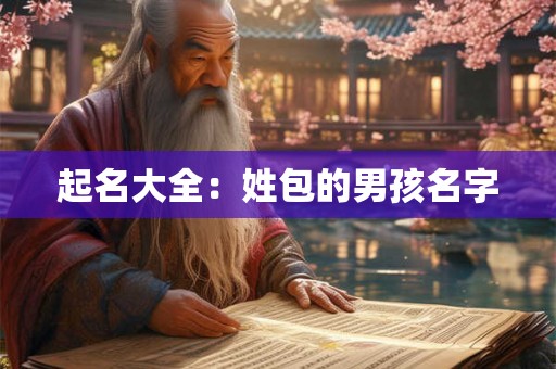 起名大全：姓包的男孩名字