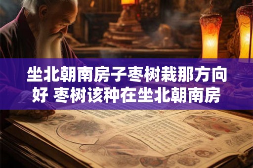 坐北朝南房子枣树栽那方向好 枣树该种在坐北朝南房子的哪个方向 坐北朝南房子枣树栽那方向好 枣树该种在坐北朝南房子的哪个方向