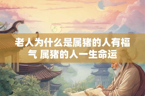 老人为什么是属猪的人有福气 属猪的人一生命运