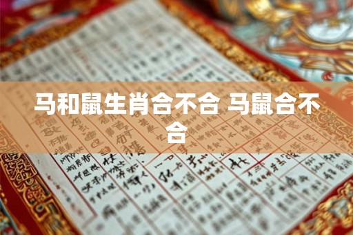 马和鼠生肖合不合 马鼠合不合 马和鼠生肖合不合 马鼠合不合