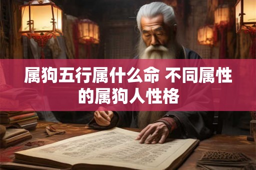 属狗五行属什么命 不同属性的属狗人性格
