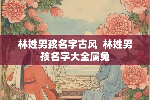 林姓男孩名字古风  林姓男孩名字大全属兔