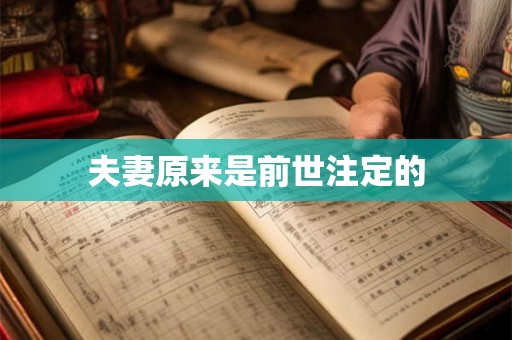 夫妻原来是前世注定的 夫妻原来是前世注定的