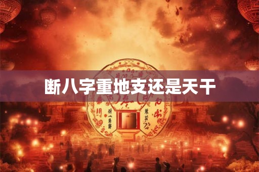 断八字重地支还是天干