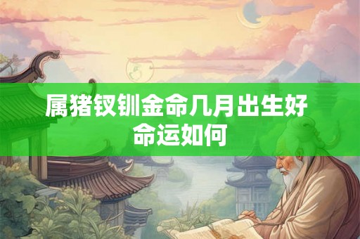 属猪钗钏金命几月出生好 命运如何