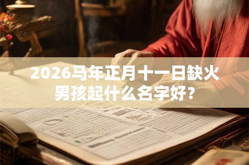 2026马年正月十一日缺火男孩起什么名字好？