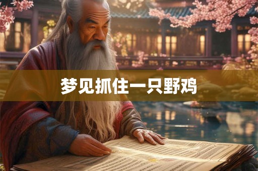 梦见抓住一只野鸡
