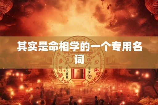 其实是命相学的一个专用名词 其实是命相学的一个专用名词