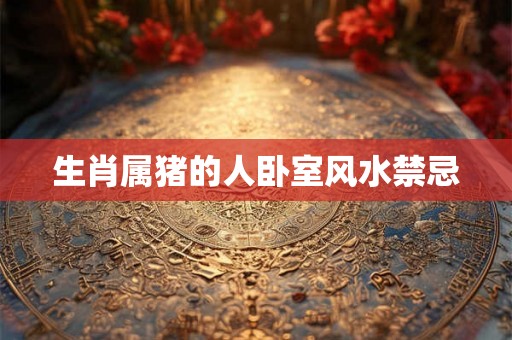 生肖属猪的人卧室风水禁忌
