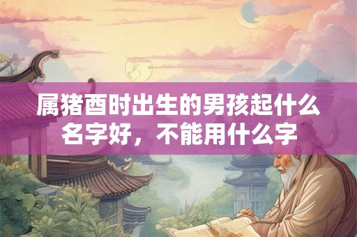 属猪酉时出生的男孩起什么名字好，不能用什么字