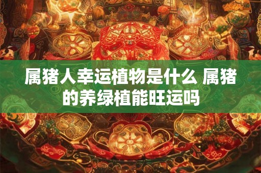 属猪人幸运植物是什么 属猪的养绿植能旺运吗