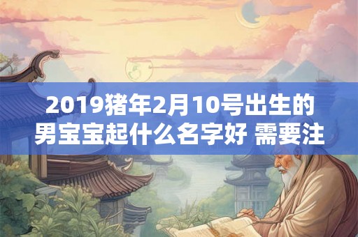2019猪年2月10号出生的男宝宝起什么名字好 需要注意什么