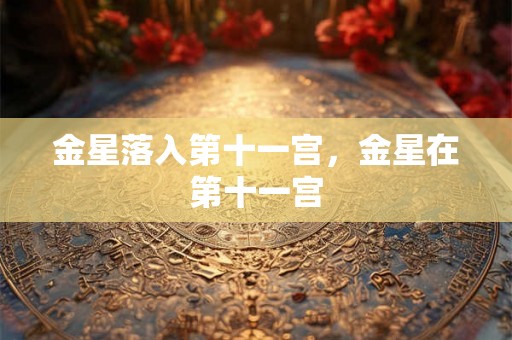 金星落入第十一宫，金星在第十一宫