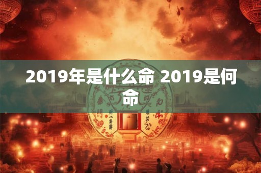 2019年是什么命 2019是何命