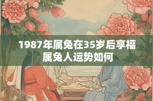 1987年属兔在35岁后享福 属兔人运势如何