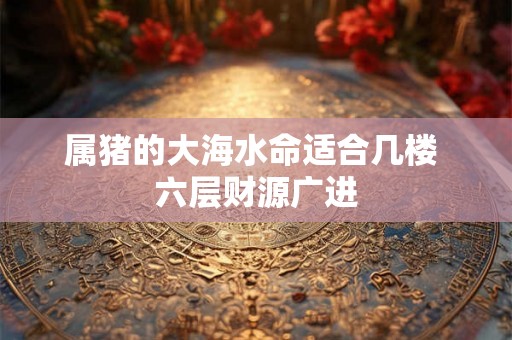 属猪的大海水命适合几楼 六层财源广进 属猪的大海水命适合几楼 六层财源广进