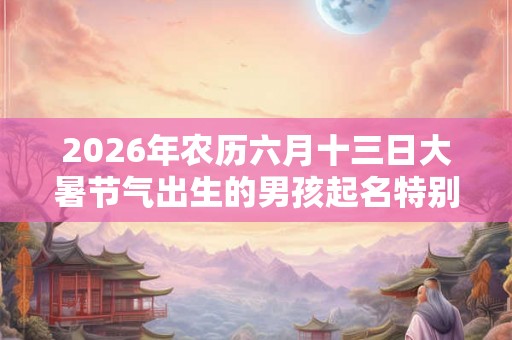 2026年农历六月十三日大暑节气出生的男孩起名特别的字
