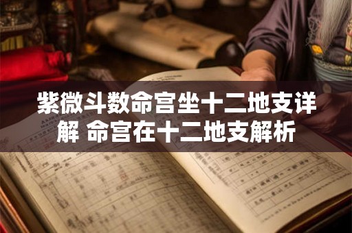 紫微斗数命宫坐十二地支详解 命宫在十二地支解析