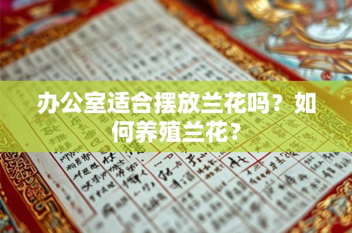办公室适合摆放兰花吗？如何养殖兰花？
