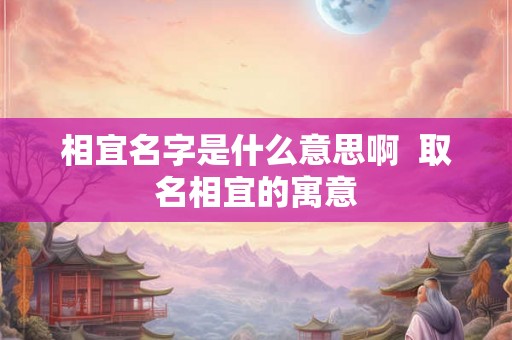 相宜名字是什么意思啊  取名相宜的寓意