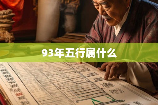 93年五行属什么