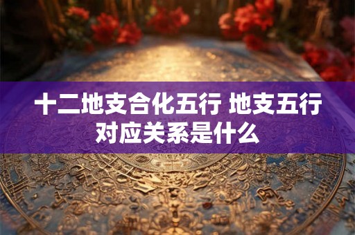 十二地支合化五行 地支五行对应关系是什么 十二地支合化五行 地支五行对应关系是什么