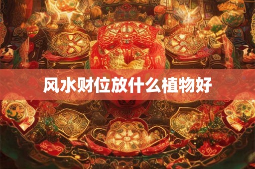 风水财位放什么植物好