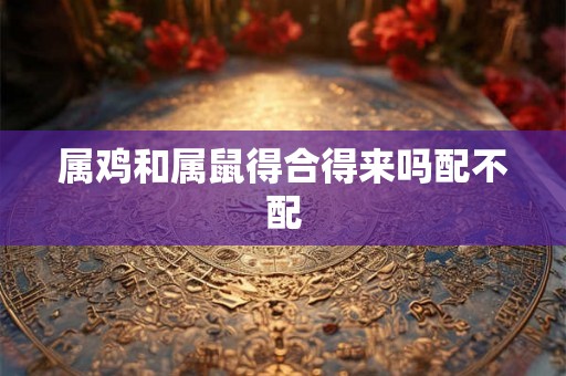 属鸡和属鼠得合得来吗配不配