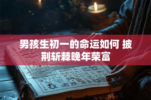男孩生初一的命运如何 披荆斩棘晚年荣富
