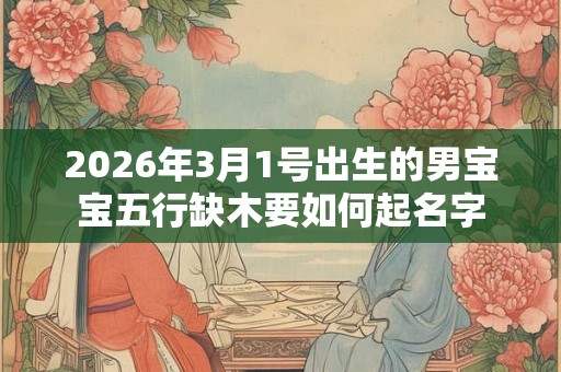 2026年3月1号出生的男宝宝五行缺木要如何起名字