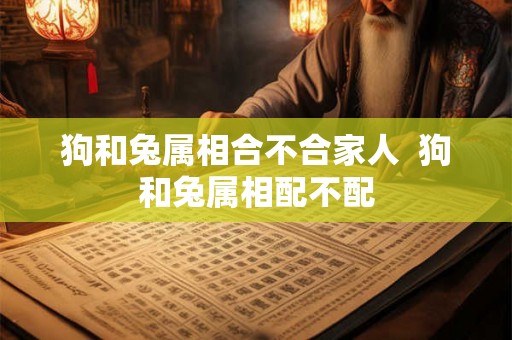 狗和兔属相合不合家人 狗和兔属相配不配 狗和兔属相合不合家人 狗和兔属相配不配