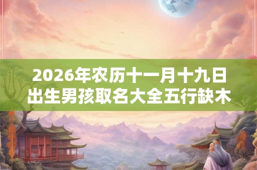 2026年农历十一月十九日出生男孩取名大全五行缺木名字