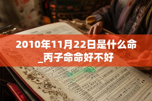 2010年11月22日是什么命_丙子命命好不好