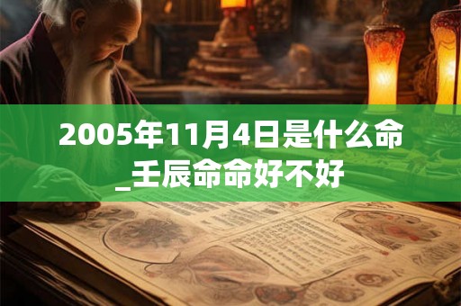 2005年11月4日是什么命_壬辰命命好不好 2005年11月4日是什么命_壬辰命命好不好