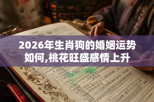 2026年生肖狗的婚姻运势如何,桃花旺盛感情上升