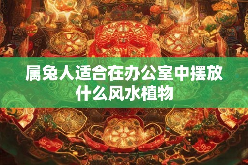属兔人适合在办公室中摆放什么风水植物
